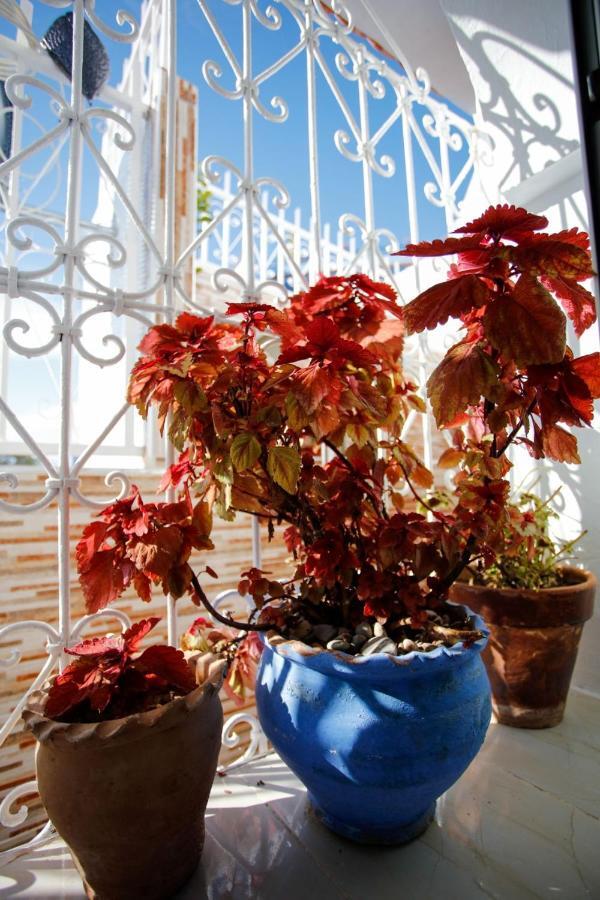 Dar Sidi Mfedal Apartment Чефчауен Екстериор снимка